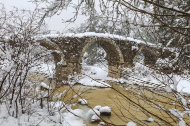 Cicekli izmir, hindi