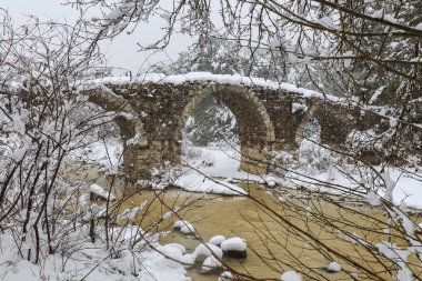 Cicekli izmir, hindi