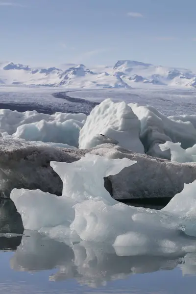 Den glaciärlagunen Jökulsárlón på Island under en ljus sommarnatt — Stockfoto