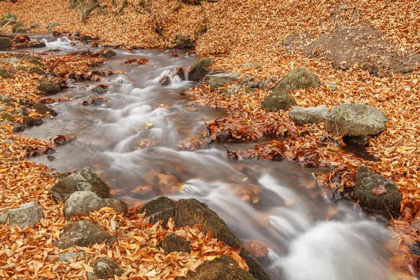 Hermosa cascada en el bosque, paisaje otoñal . —  Fotos de Stock