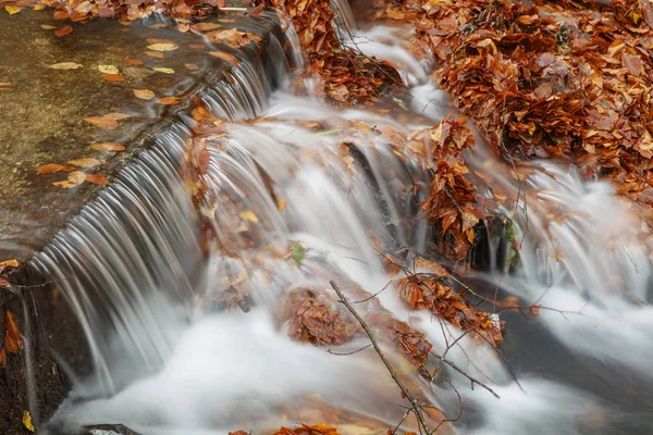 Belle cascade en forêt, paysage d'automne . — Photo