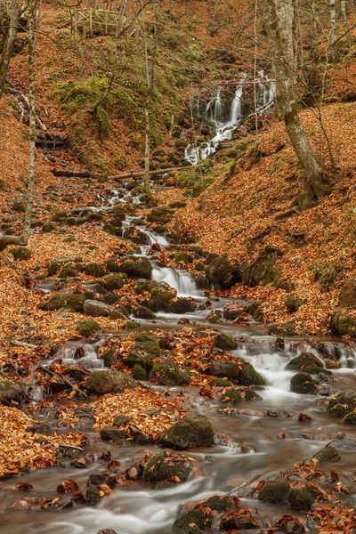Piękny wodospad w lesie, jesień krajobraz. — Zdjęcie stockowe