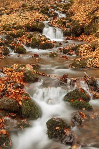 Belle cascade en forêt, paysage d'automne . — Photo