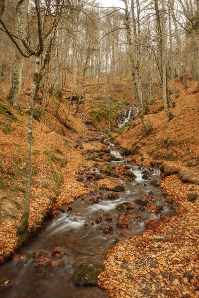 在森林里，秋天风景美丽瀑布. — 图库照片