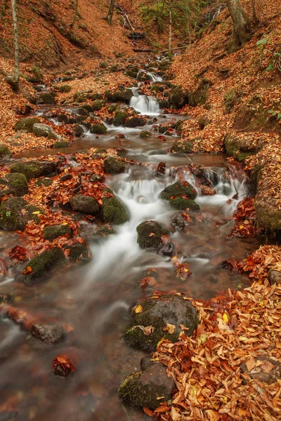 Hermosa cascada en el bosque, paisaje otoñal . —  Fotos de Stock