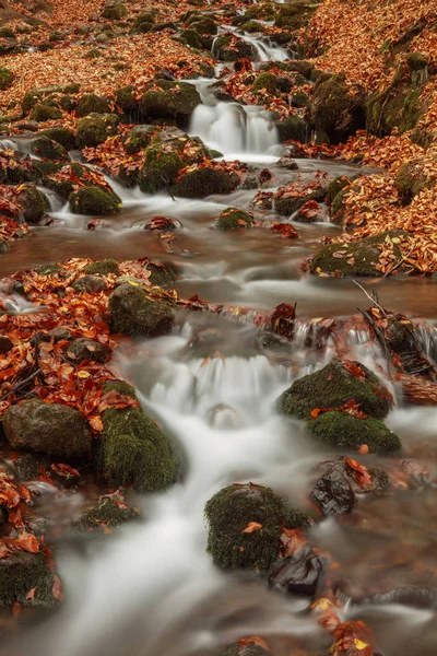 Belle cascade en forêt, paysage d'automne . — Photo