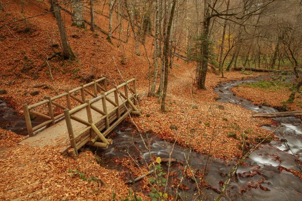 Красивий водоспад в лісі, осінній пейзаж . — стокове фото