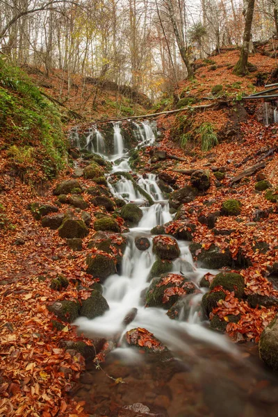 Piękny wodospad w lesie, jesień krajobraz. — Zdjęcie stockowe