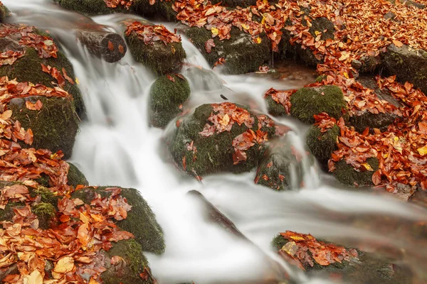 Belle cascade en forêt, paysage d'automne . — Photo