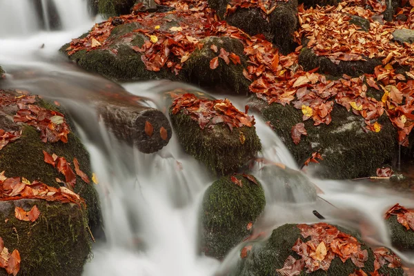 Belle cascade en forêt, paysage d'automne . — Photo