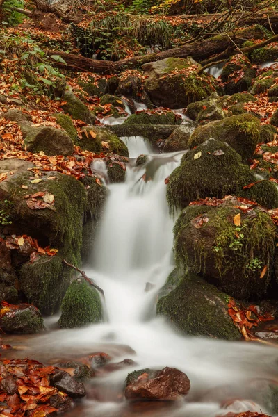Schöner Wasserfall im Wald, herbstliche Landschaft. — Stockfoto