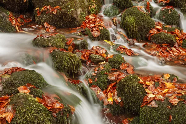 Belle cascade en forêt, paysage d'automne . — Photo