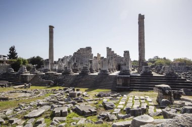 Apollon Tapınağı Didyma Antik şehir, Aydın, Türkiye içinde görünümünü.