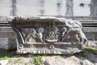 Apollon Tapınağı Didyma Antik şehir, Aydın, Türkiye içinde görünümünü.