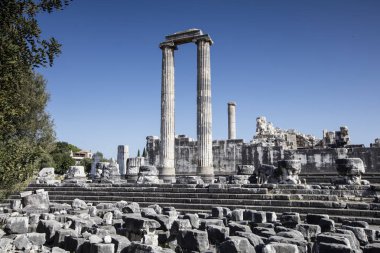 Apollon Tapınağı Didyma Antik şehir, Aydın, Türkiye içinde görünümünü.