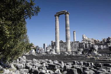 Apollon Tapınağı Didyma Antik şehir, Aydın, Türkiye içinde görünümünü.