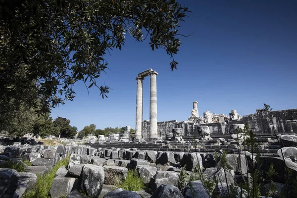 Veduta del Tempio di Apollo nell'antica città di Didyma, Aydin, Turchia . — Foto Stock