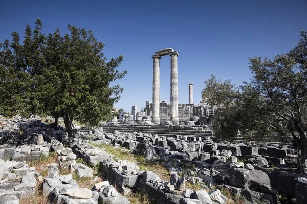 Veduta del Tempio di Apollo nell'antica città di Didyma, Aydin, Turchia . — Foto Stock