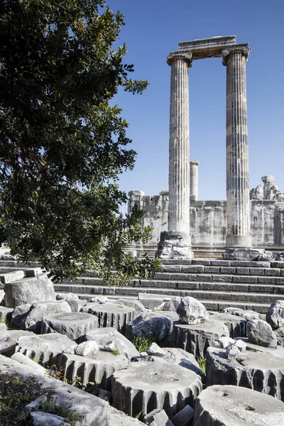 Vista del Templo de Apolo en la ciudad antigua de Didyma, Aydin, Turquía . — Foto de Stock