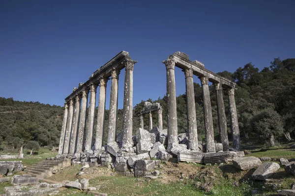 Храм Зевса Туреччини Lepsinos Euromus — стокове фото