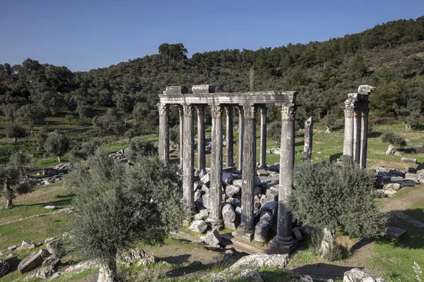 Templo de Zeus Lepsinos Euromus Turquia — Fotografia de Stock