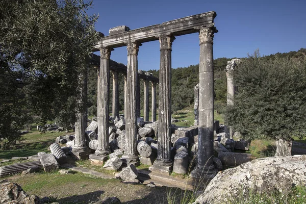 Храм Зевса Туреччини Lepsinos Euromus — стокове фото