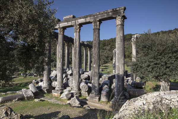 Temple of Zeus Lepsinos Euromus Turkey