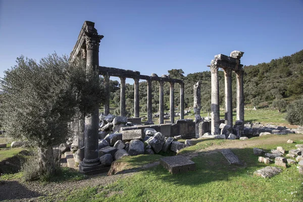 Temple of Zeus Lepsinos Euromus Törökország — Stock Fotó