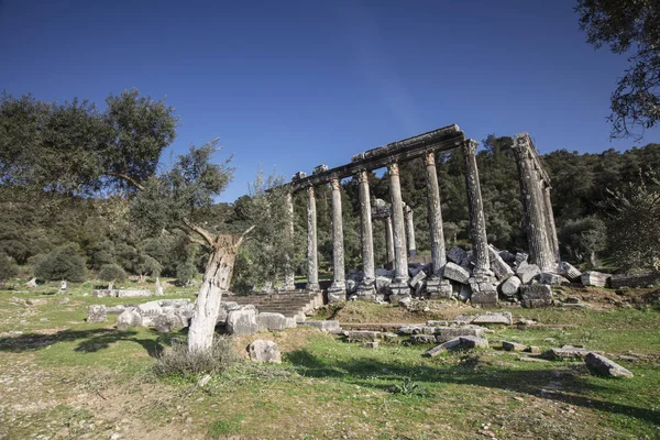 Tempio di Zeus Lepsinos Euromus Turchia — Foto Stock