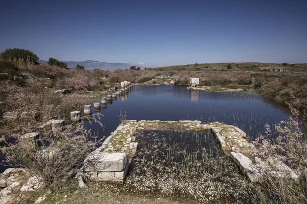 Miletos ancient city — Stock Photo, Image