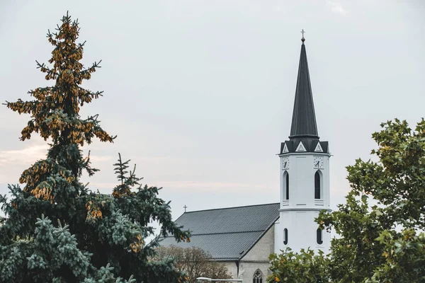 Historical Town Hungary Sarospatak — 스톡 사진