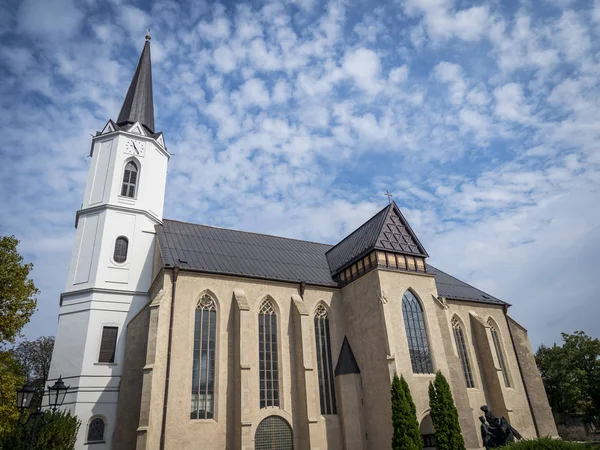 Historical Town Hungary Sarospatak — 스톡 사진