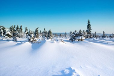 Kış manzarası Polonya Dağları Dev Dağlar