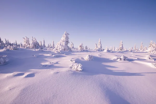 Kış manzarası Polonya Dağları Dev Dağlar