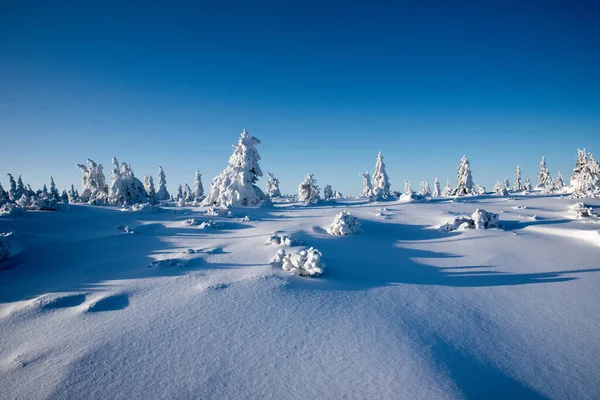 Kış manzarası Polonya Dağları Dev Dağlar