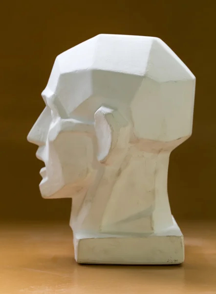 チュートリアルの原始的な石膏の頭のモデル. — ストック写真