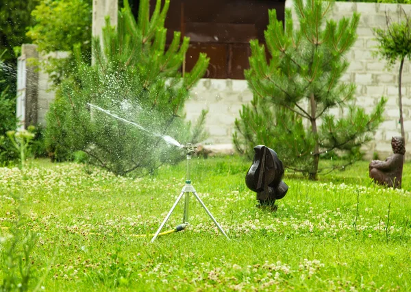 Çalışma Bahçe yağmurlama. — Stok fotoğraf