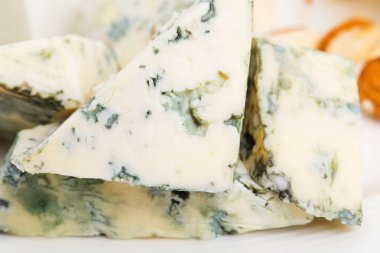 Lezzetli brie peyniri portre.