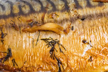 Lezzetli kızarmış uskumru balığı.