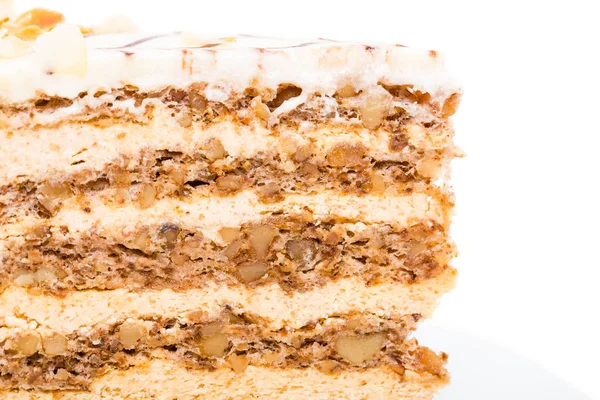 Delicious cake with walnuts and almonds. — Stock Photo, Image