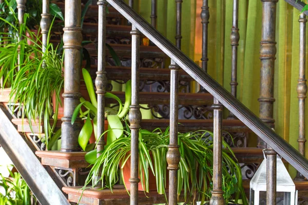 Escalier avec pots de fleurs . — Photo