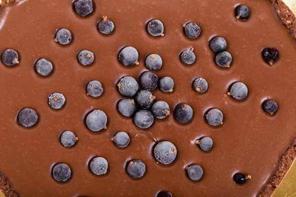 Läcker chokladkaka med blåbär. — Stockfoto