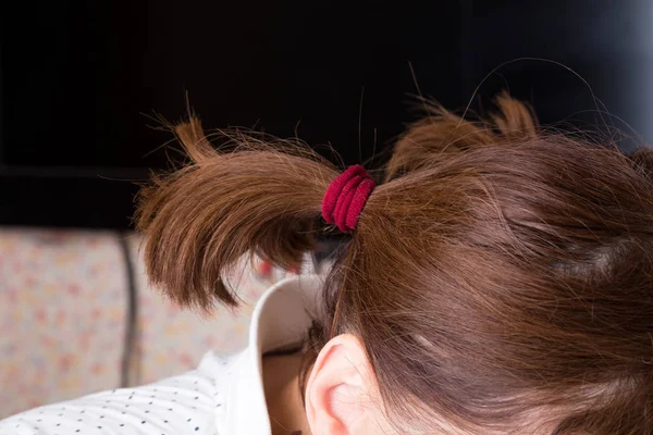 Queue de cheval cheveux bruns — Photo