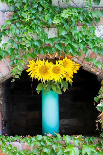 Girasoles en un jarrón de vidrio . — Foto de Stock