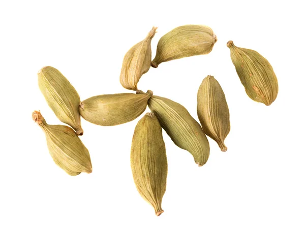 Enkele uitstekende cardamoms. — Stockfoto