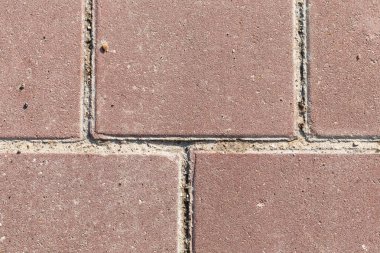  Kahverengi taş döşeme. 