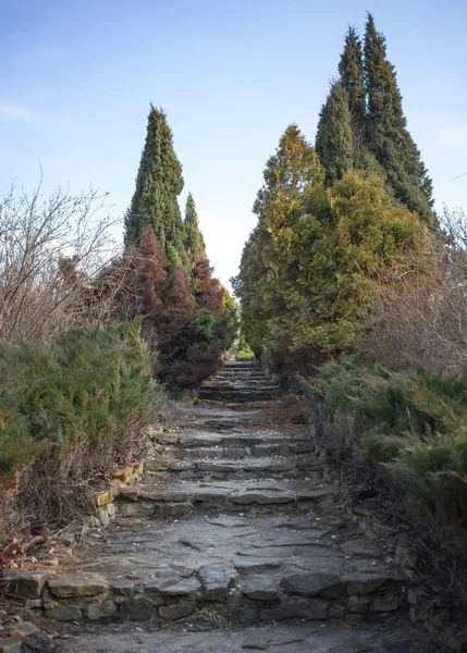 Trail through the park. — Stock Photo, Image