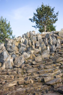 Arka planda ağaçları ile eski taş duvar.