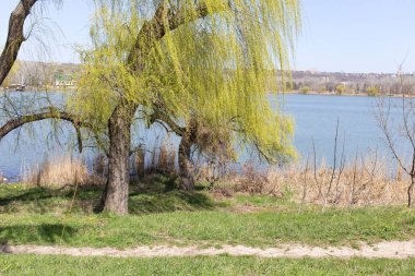 Gölün güzel manzaralarına manzara.