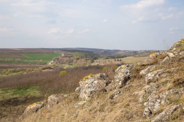 Orman manzarasına manzara.